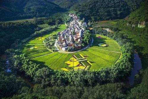 云南暑期特惠游 贵州人民游云南这个地方仅需 2元