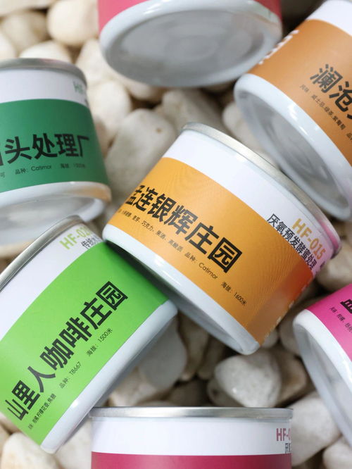 探索云南精品咖啡的无限可能
