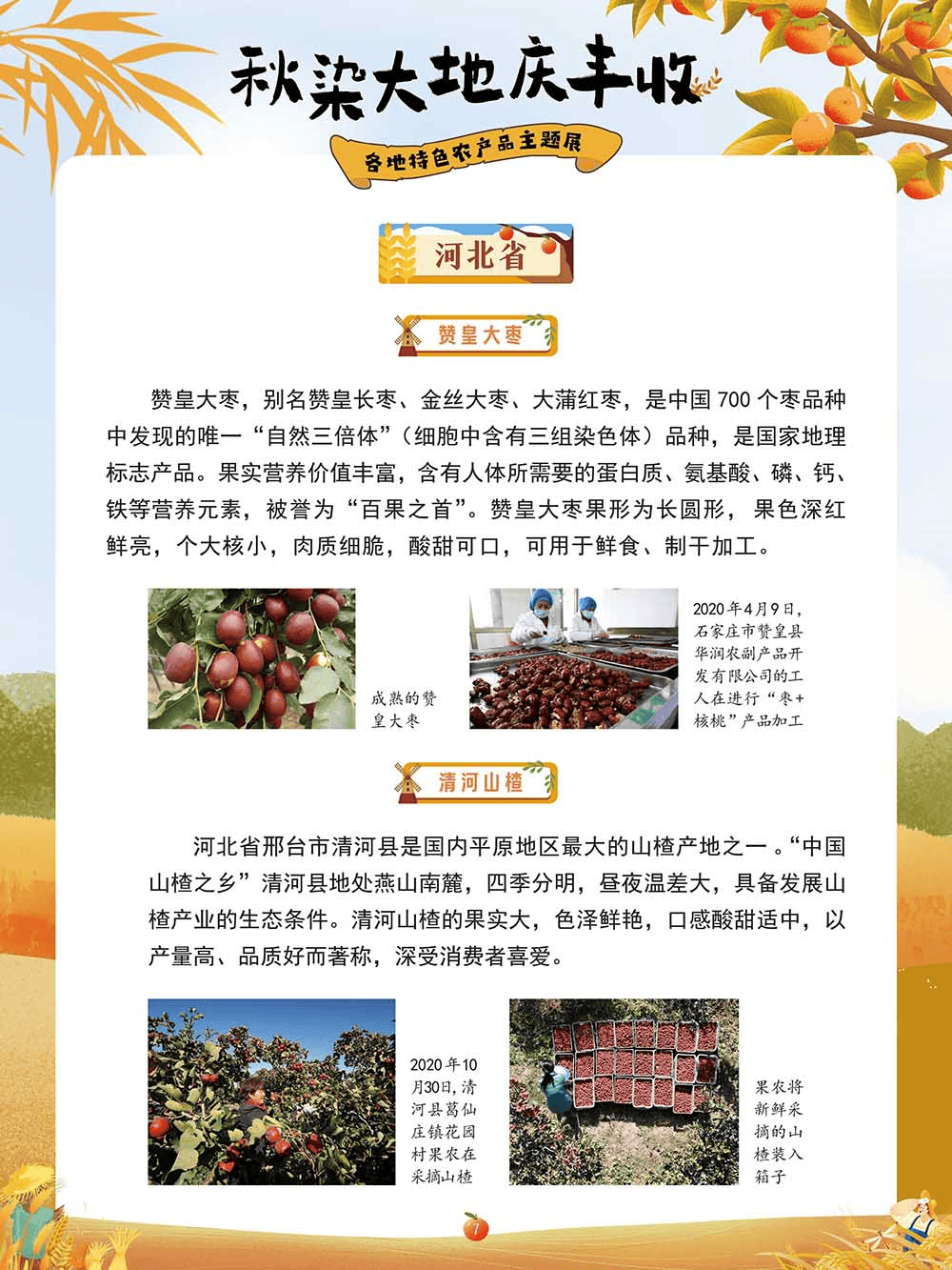 云南龙城农产品经营股份2024年8月20日价格信.