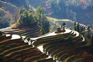 云南印象 昆明 建水 元阳 弥勒 双飞6天心醉旅程