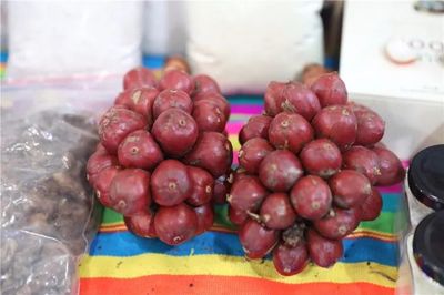 昆明农博会开幕,17国农产品等你来尝 ,这些亮点不要错过|农博会|昆明|农产品_新浪新闻