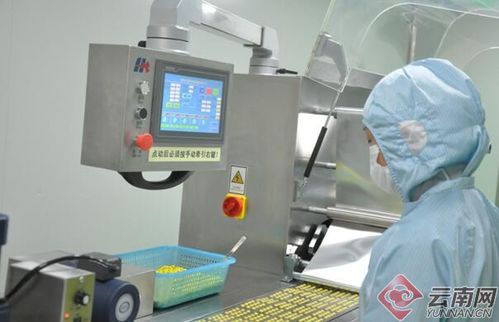 云南民族中医药重点企业龙润集团列入新冠病毒疫情防控物资生产及保供名录