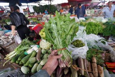 云南宁洱:闲逛早市发现好多不熟悉农产品,同内地差距好大啊