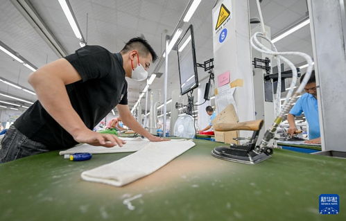 内蒙古鄂尔多斯 羊绒制品生产忙