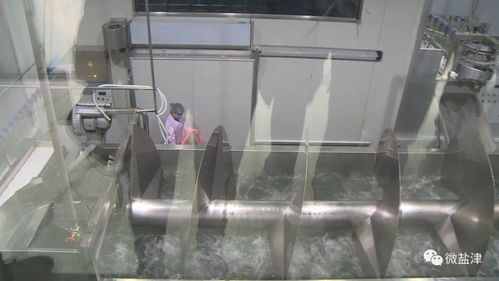 盐津县2021年 百日行动 招聘会 云南绿源食品科技受热捧