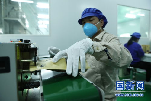 中外记者脱贫攻坚新闻发布与主题采访云南行之怒江大峡谷农副产品加工交易中心