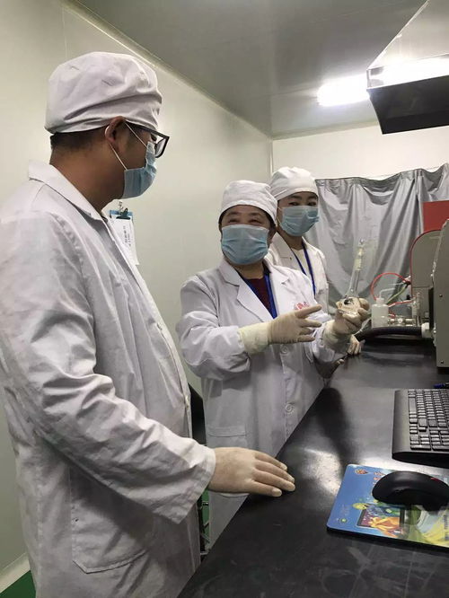 高手在民间,石块竟藏着一名农民发明家,你认识他吗