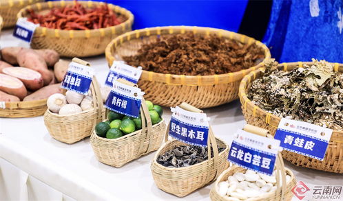 2024 大理味道 美食季 暨云品进京推介活动启动