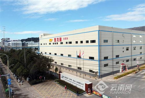 祝贺 第十届金龙鱼外婆乡小榨菜籽油菜花节 西安站收官 益海嘉里致力保障云南人民食用油安全