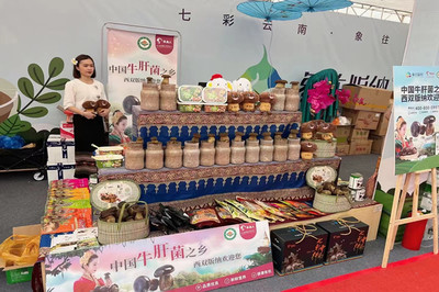 云南景洪市农产品区域公共品牌“象往版纳”助力农产品外销