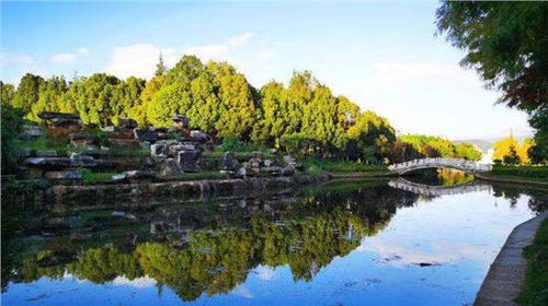 招募云南谊菲特jeep探寻云南山珍之旅